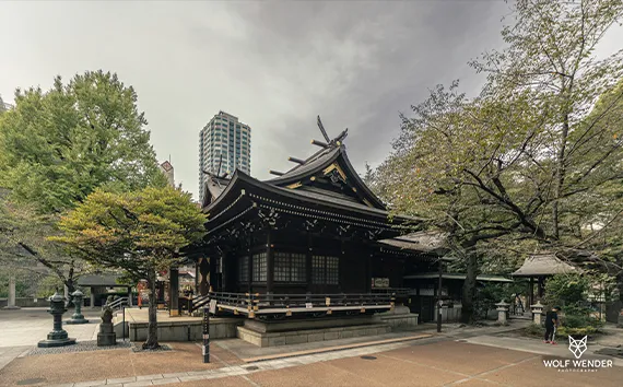 Wender Media - SEO Agentur Baden-Württemberg