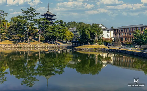 SEO-Texte - Professionelle Texterstellung für bessere Rankings in Baden-Württemberg