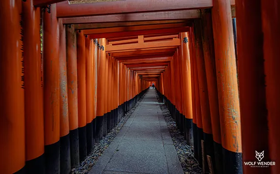 Pagespeed Optimierung in Baden-Württemberg - Schnellere Ladezeiten für bessere Rankings