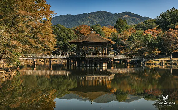 Meta-Tag-Optimierung - Bessere Sichtbarkeit in den Suchergebnissen in Baden-Württemberg