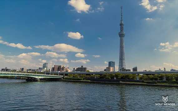 FAQ - Häufig gestellte Fragen zu SEO in Baden-Württemberg