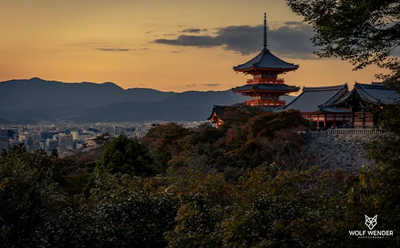 Local SEO - Lokale Sichtbarkeit für Ihr Unternehmen in Baden-Württemberg